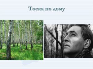 Тоска по дому как комиссоваться