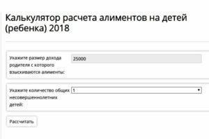 Как рассчитать алименты на 2 детей онлайн калькулятор