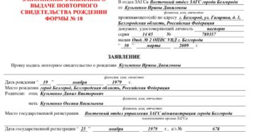 Заявление на выдачу повторного свидетельства о рождении образец Заявление на выдачу повторного свидетельства о рождении образец
